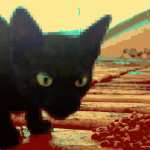 RoofCat