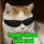 koolkittykat