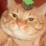 elrubius