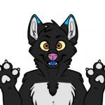 SilliFoxx