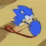 CssSonicGamer