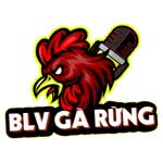blvgarungcom