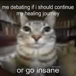 meowmoew