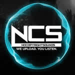 NCS2013