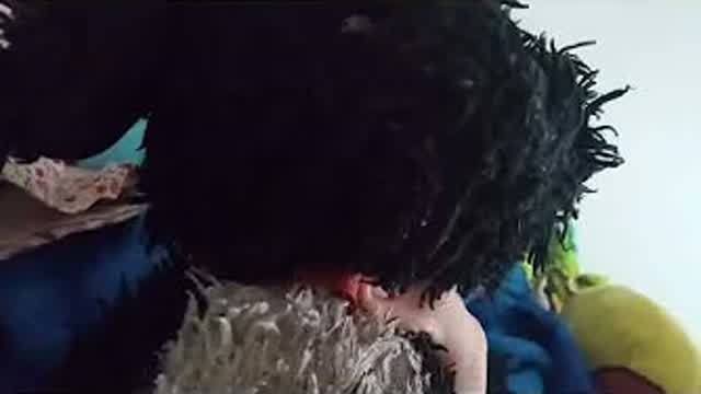 Learn Pets