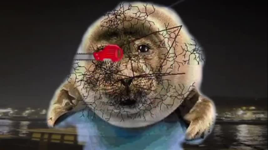 202504142055