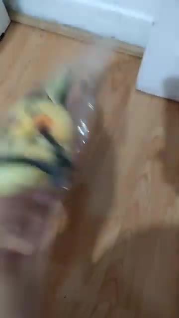 Peluche de Dedenne es bendecido por San Benito Abad (Pokémon)