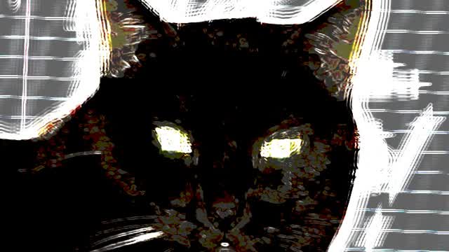 FELINOS RETRIBUTION
