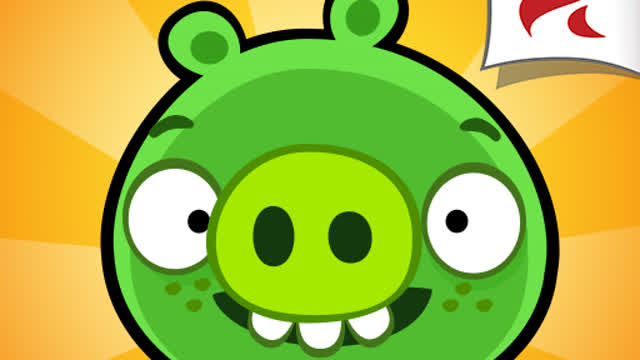 Bad pigis