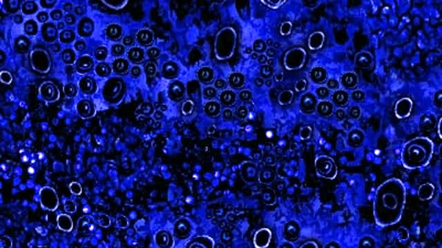 embryo 777 versión