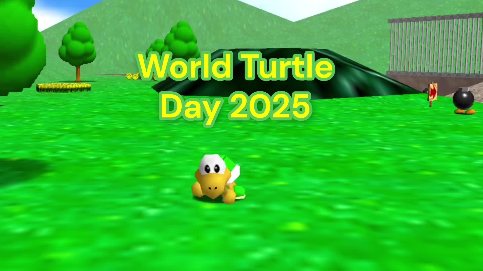 SM64: World Turtle Day 2025