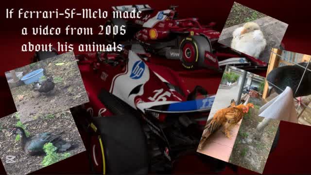 If Ferrari SF-MELO made a video from 2005 about his animals