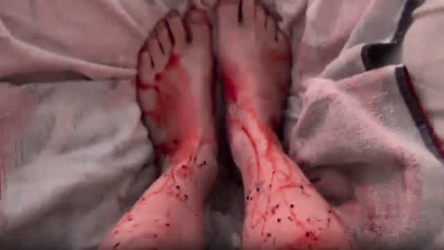 SANGRE FALSA!!!