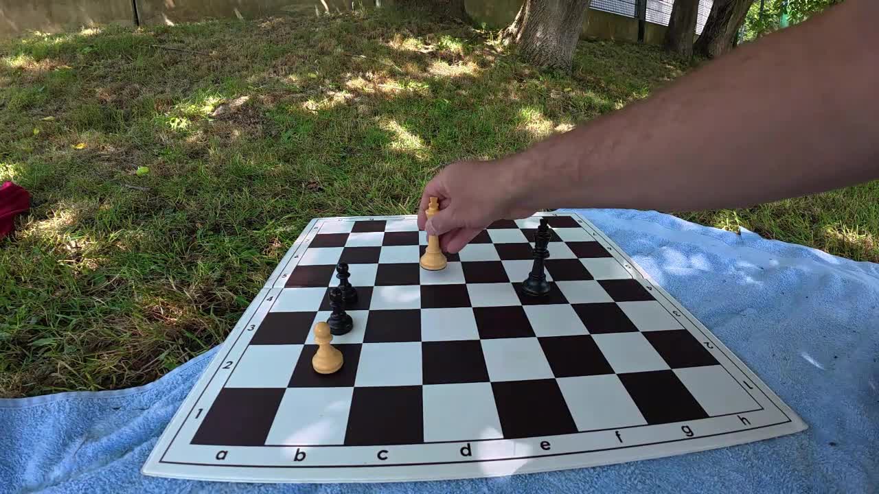 2 chess studies composed by Peter Krug
