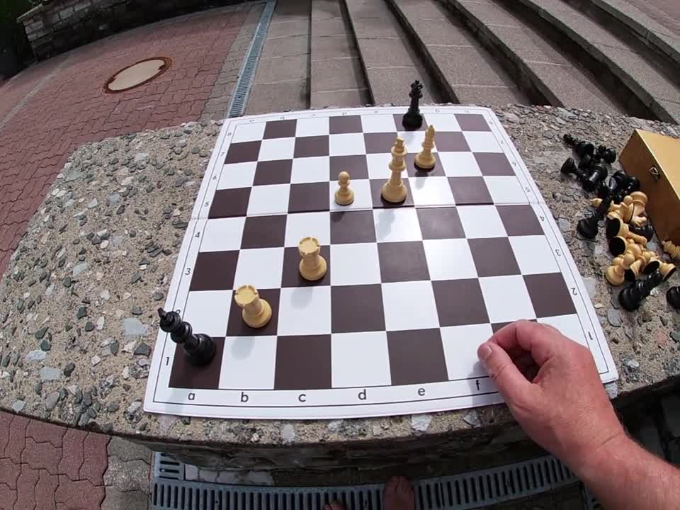 Easy to understand chess study – By Peter Krug