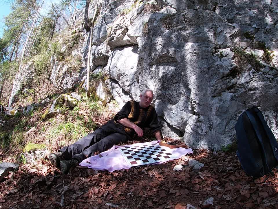 Study by Peter Krug with a knight journey