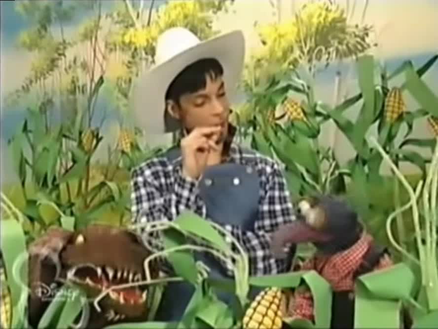 Prince on The Muppets 001