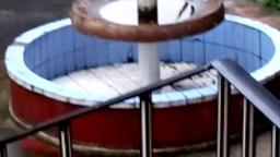 Febrero 1 de 2019 MOV_0004