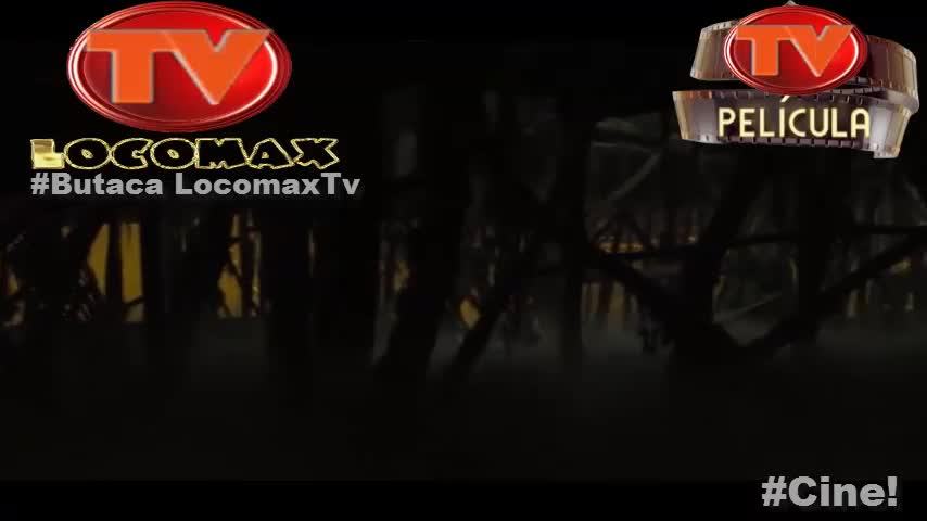 LocomaxTv Bolivia Anime Mayo 2025