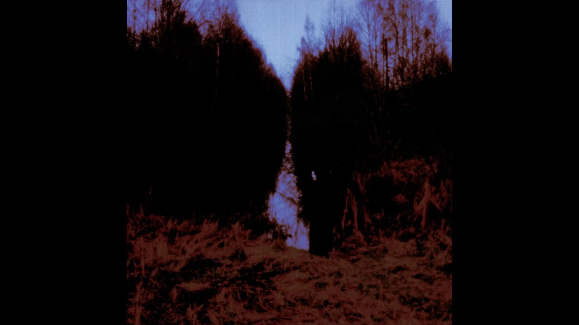 Opeth - Demon of the Fall