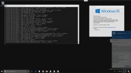 Destroying Windows 10 ('rd C:\ /s /q')
