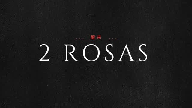 ROOBIRD - 2 ROSAS
