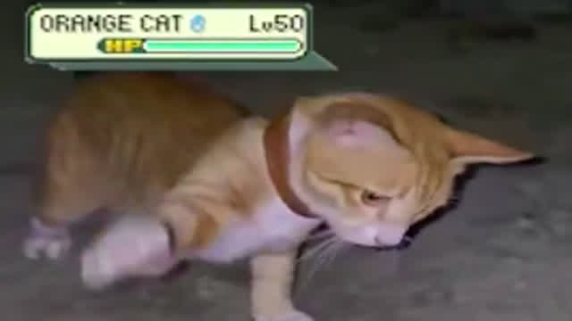 BattleKitties.mp4