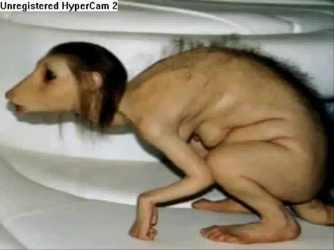 rat women!