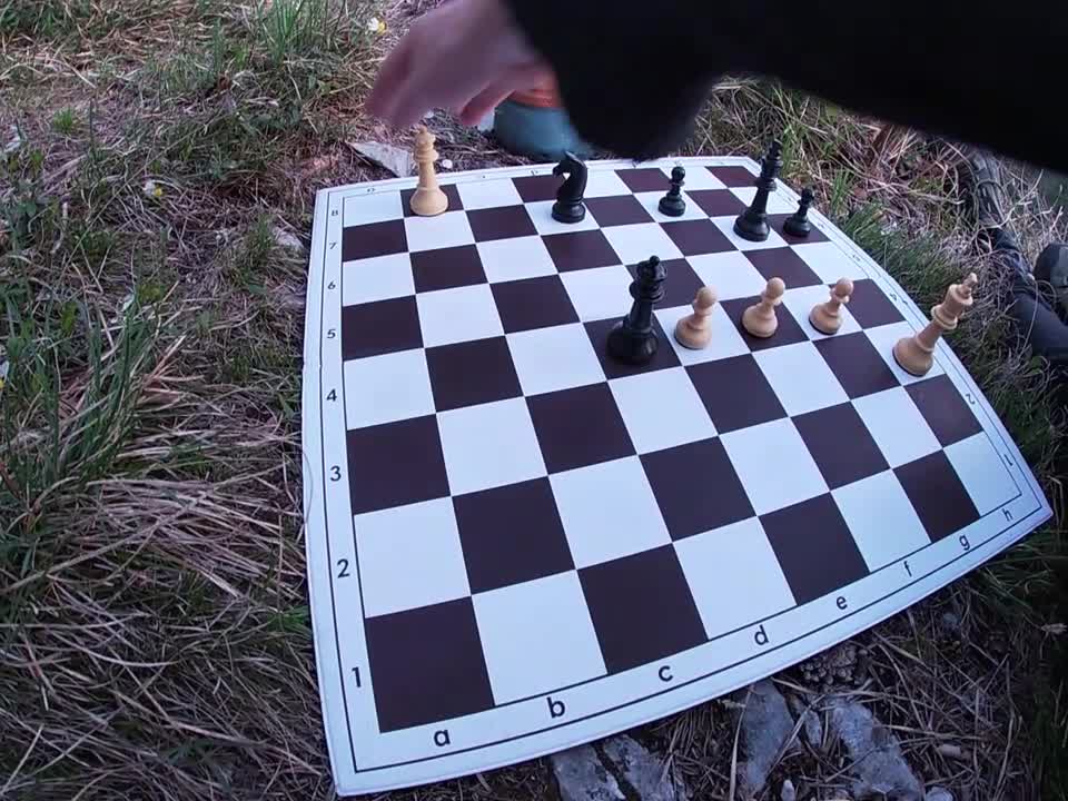 Aunt Olga and my chess study with win (by Peter Krug)