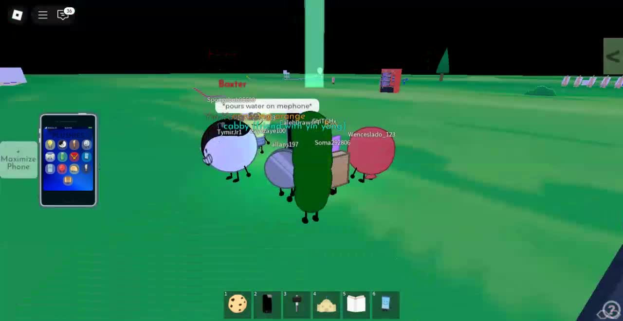 Roblox-2025-06-10T19_06_48.862Z