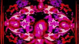 embryo.avi