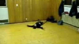 Guy runs into wall