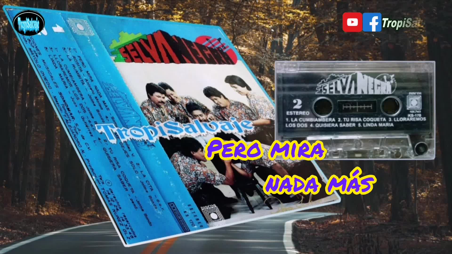 pero mira nada mas selva negra vol. 11