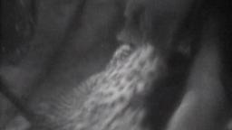 Doctor Who - 01x01b - 100,000BC (The Cave of Skulls)