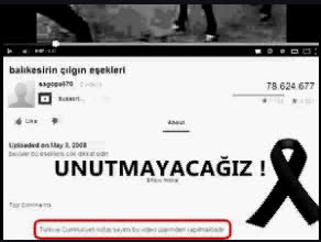 Balıkesirin Çılgın Eşşekleri