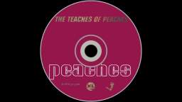 Peaches - Fuck The Pain Away