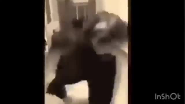 Como vencer al Ayuwoki y al Eeoo (Loquendo)