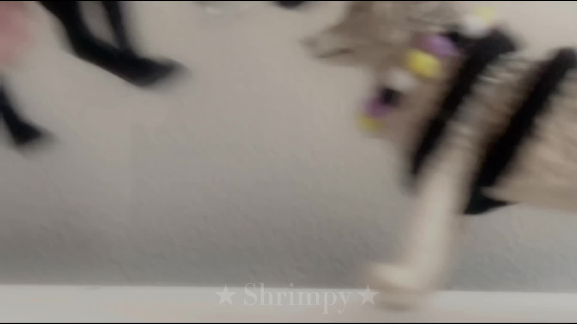 3s // Schleich wolf MV