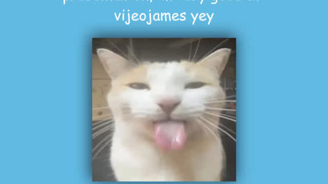 my school English project (censored)