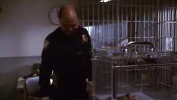 21 Serie Amazing Stories temporada 1 Peluquin mortal
