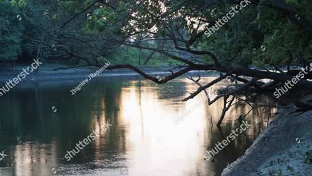 calming music