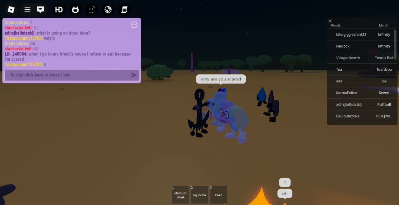 Roblox-2025-05-13T13_40_35.727Z