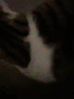 My CAT LELA!!