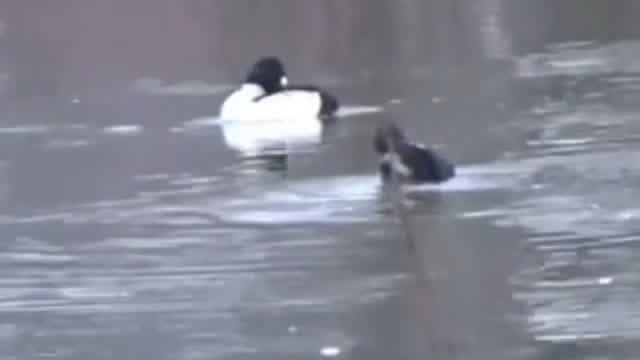 A lake