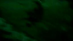 Zombie Attack (Part 2)
