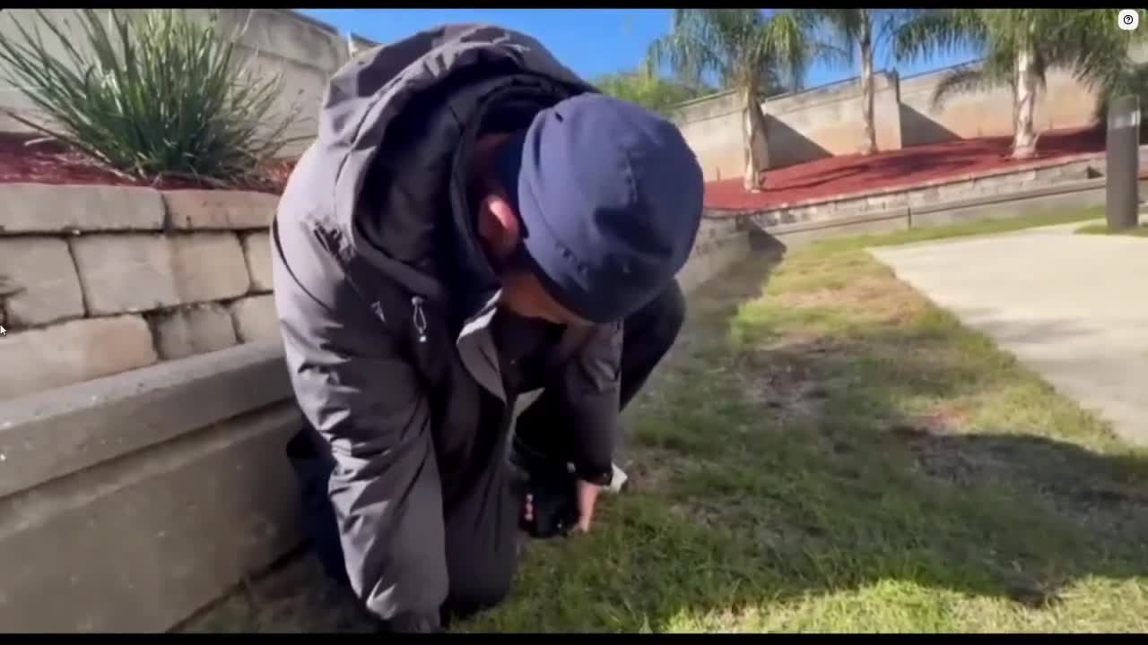 c/freddiebeans2 OG IP2 IRL edit