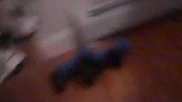 Random Video (Part 4): Vote