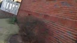 Random Video (Part 5): A Fake Pistol, A Glove, A Rock & A Canadian Penny