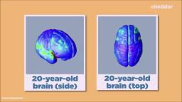 Teens' decisions are often driven by rash emotions and impulse rather than by logic