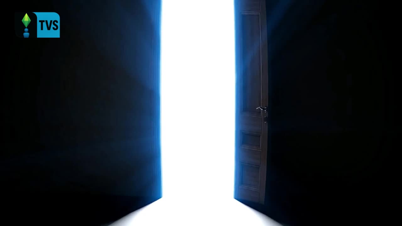 Big Brother Sims Promo